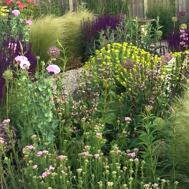 Naturalistic Garden 1