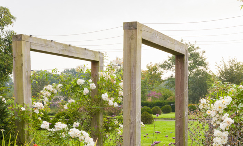 The Large Country Garden in Cheshire