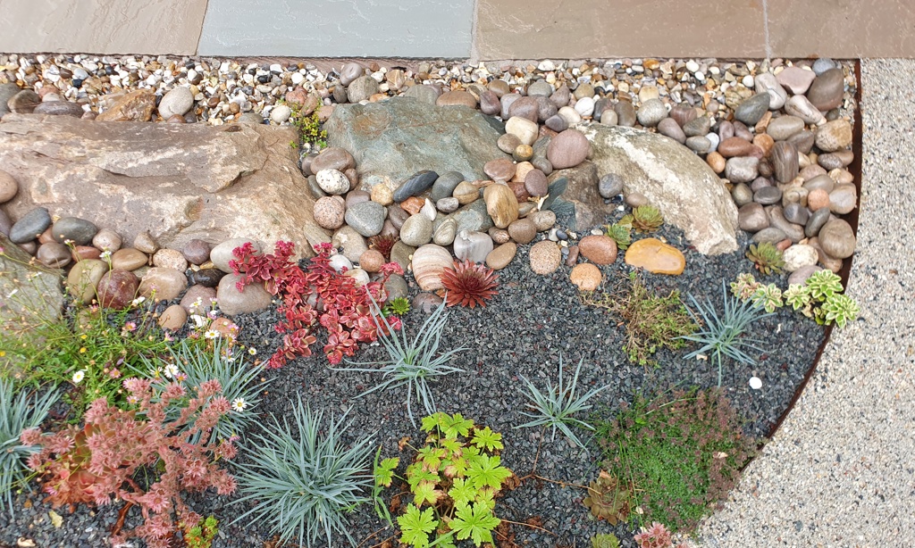 Metal edging, gravel planting and path