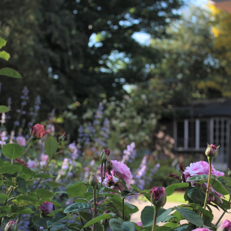 The Modern Arts & Crafts Garden