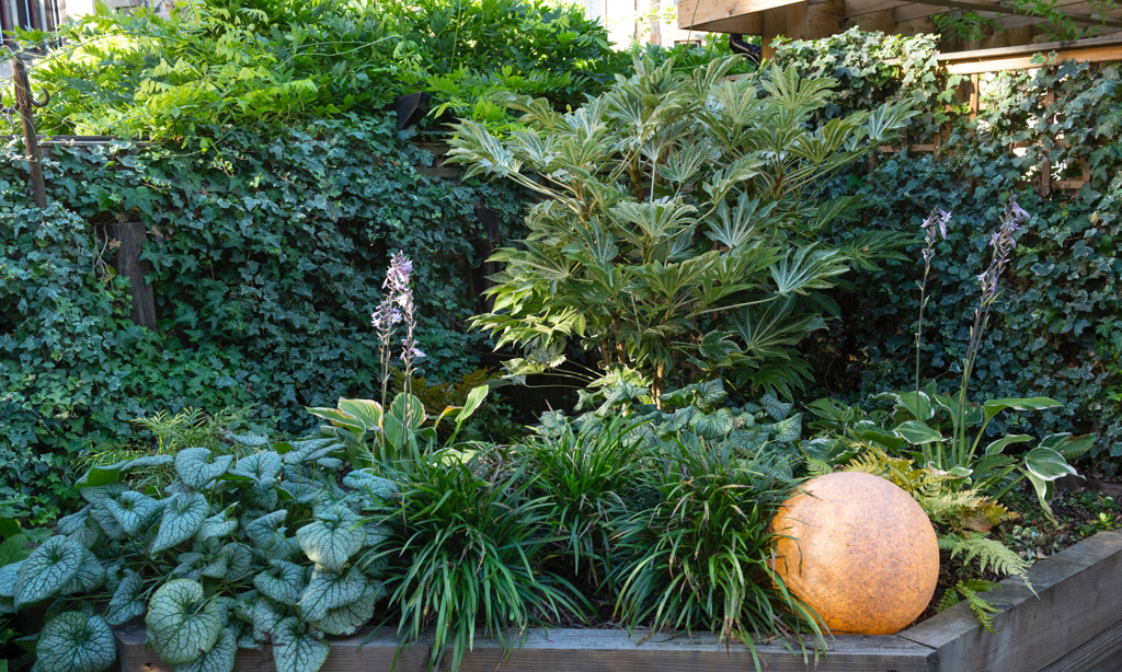 West End Glasgow Garden 5