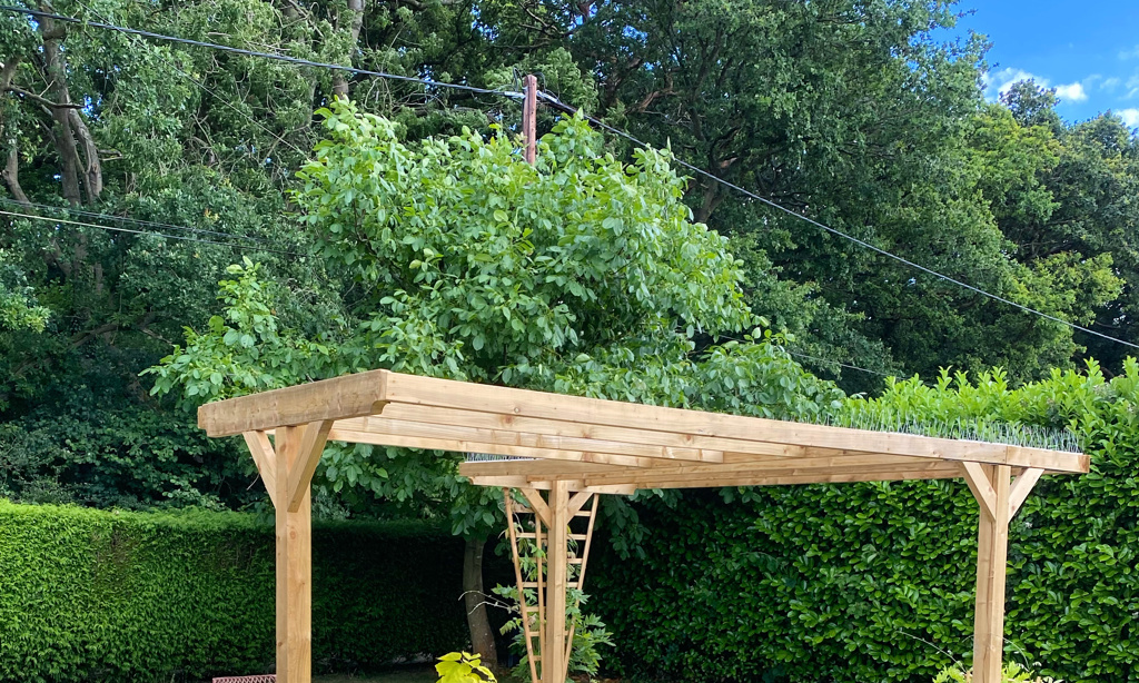 pergola and patio