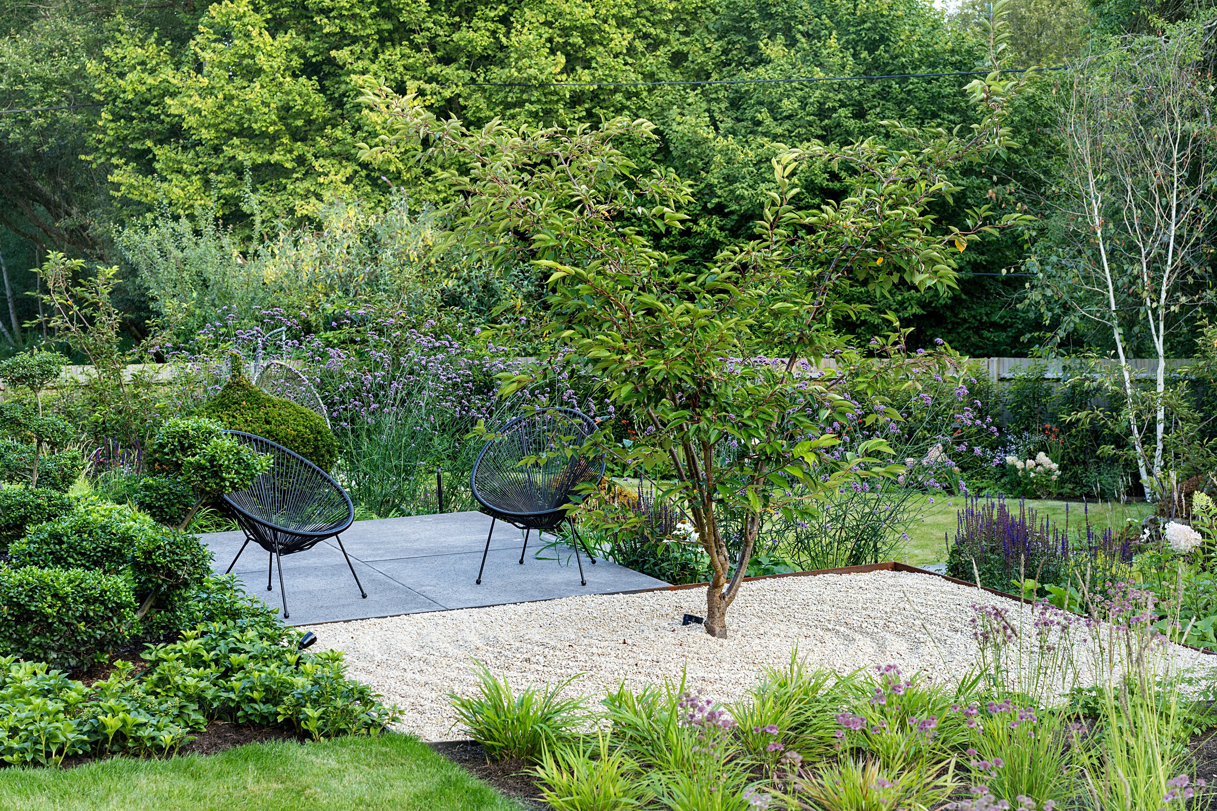 Prunus Multi-Stem & Seating