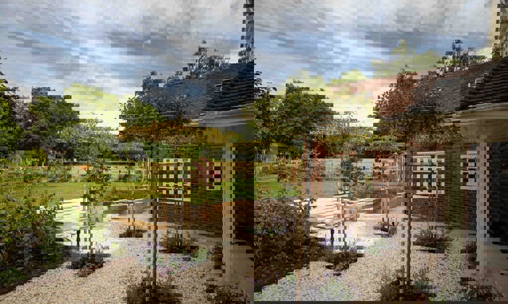 Pleached trees and bench