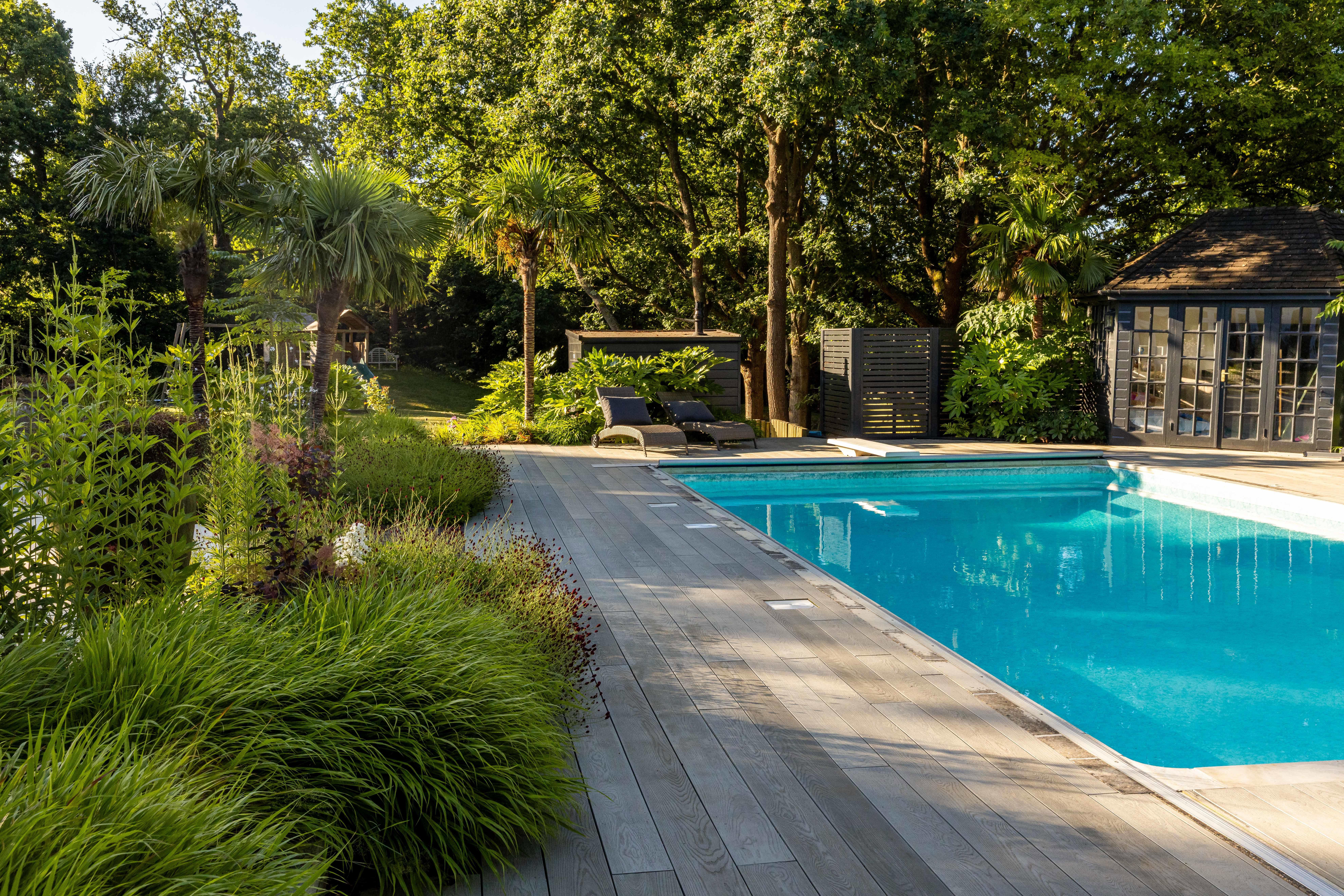 Poolside planting 