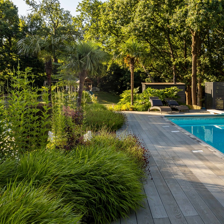 Poolside planting