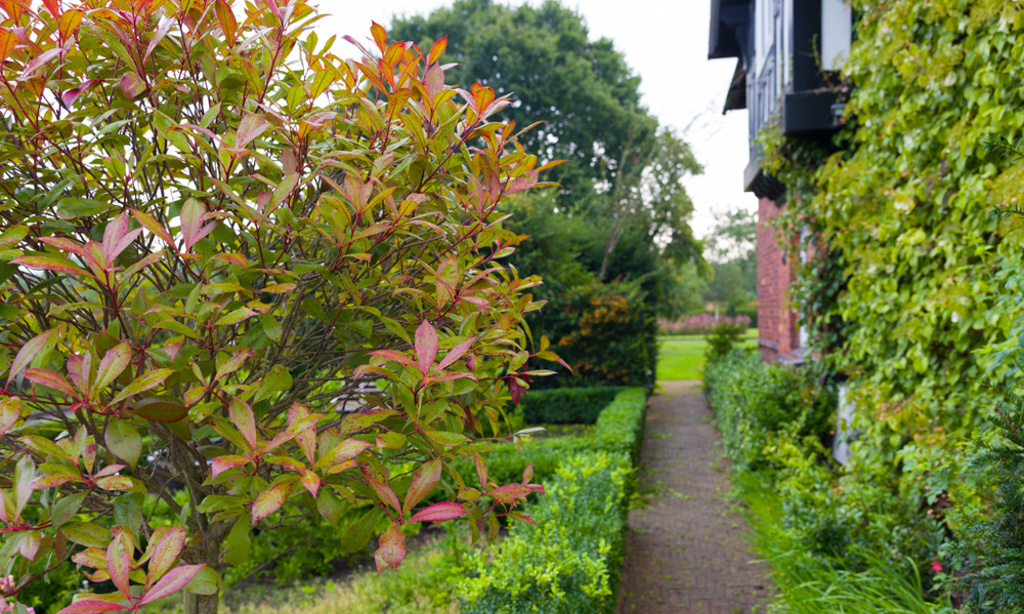 The Large Country Garden in Cheshire