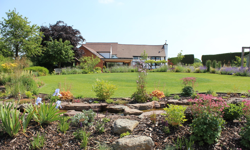 Central lawn and planting