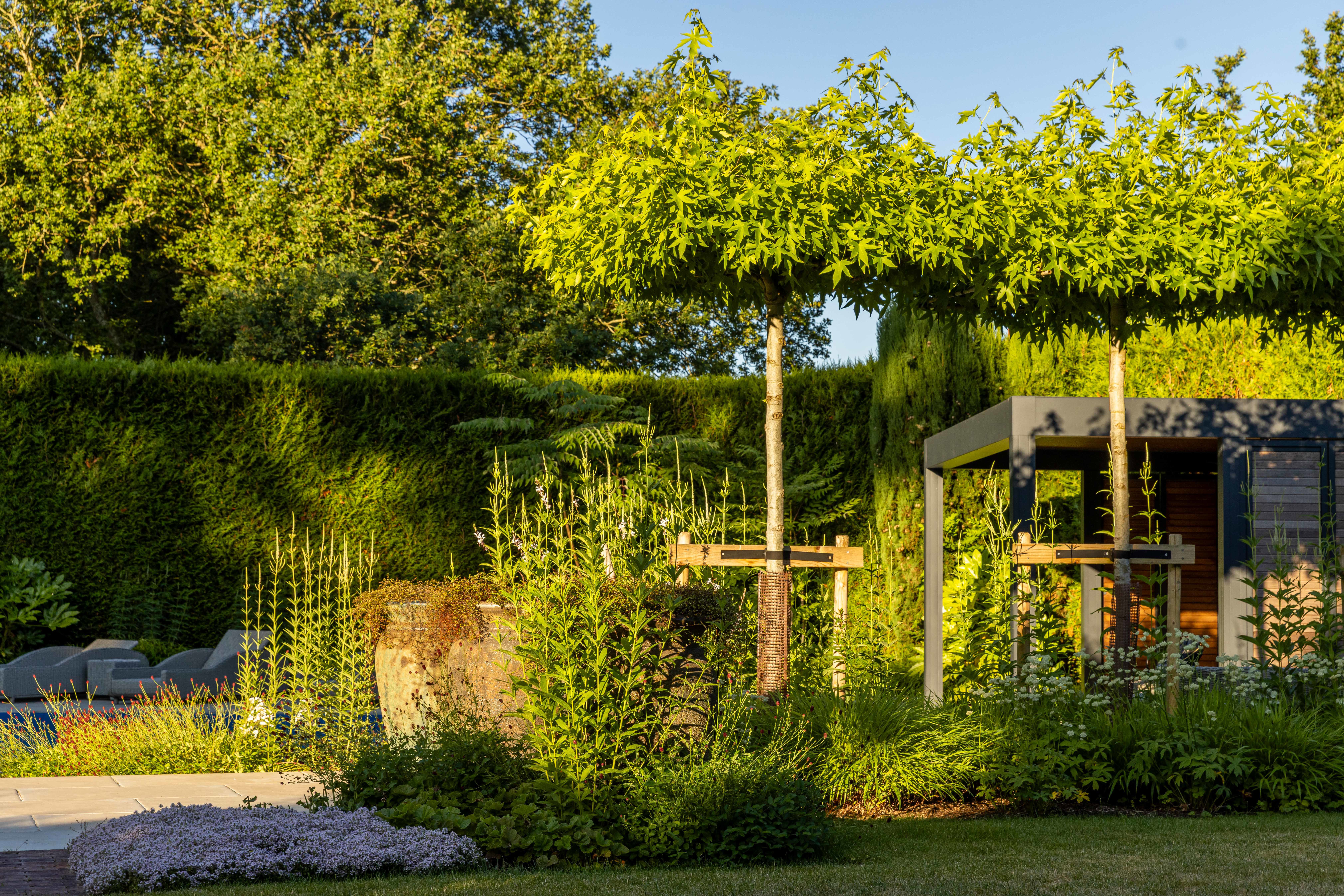 Lush planting creating a calming space