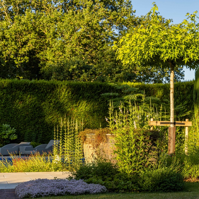 Lush planting creating a calming space