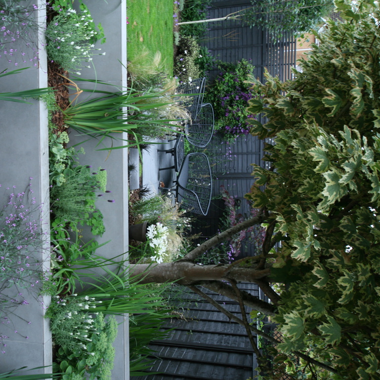 Beautiful Raised flower beds