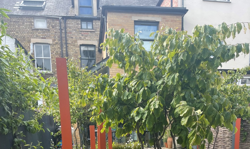 The view to the house