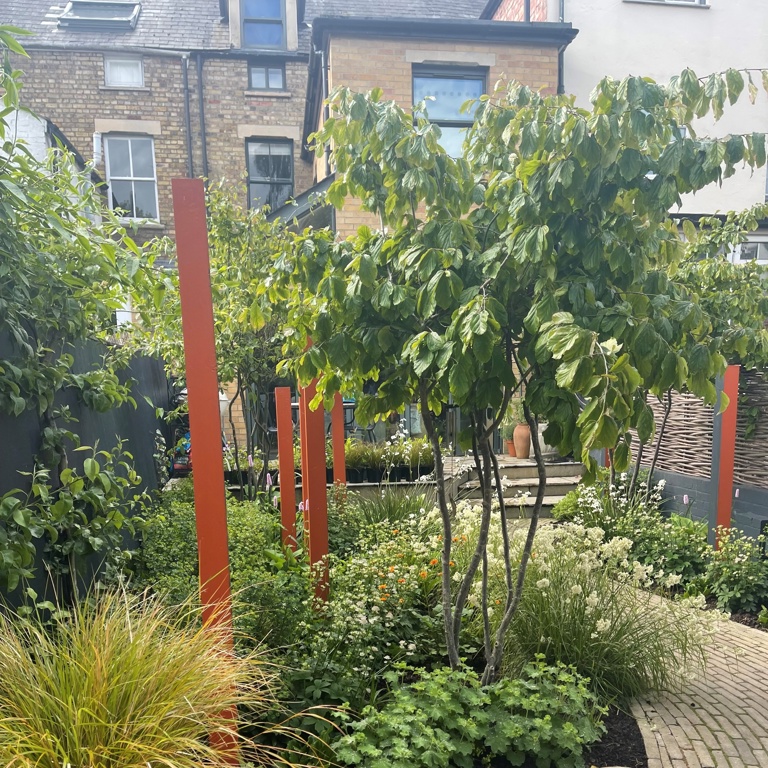 The view to the house