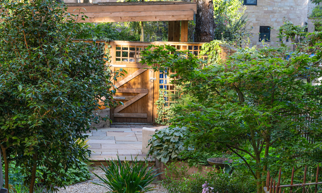 West End Glasgow Garden 2