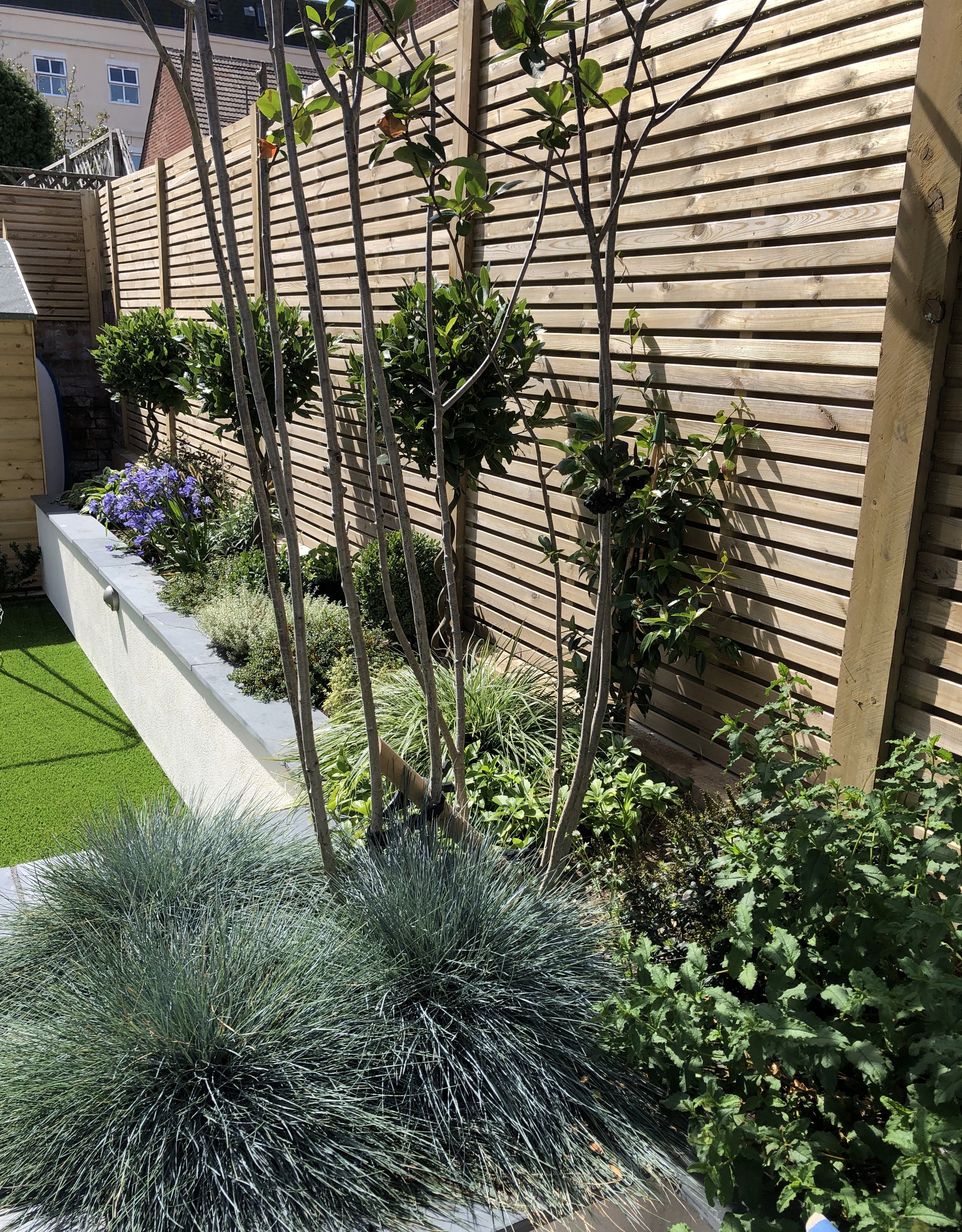 Planting & fencing