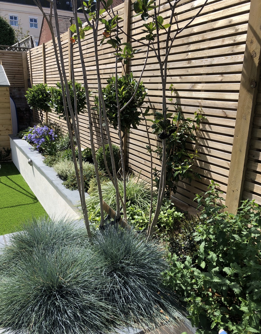 Planting & fencing