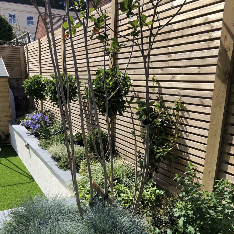 Planting & fencing