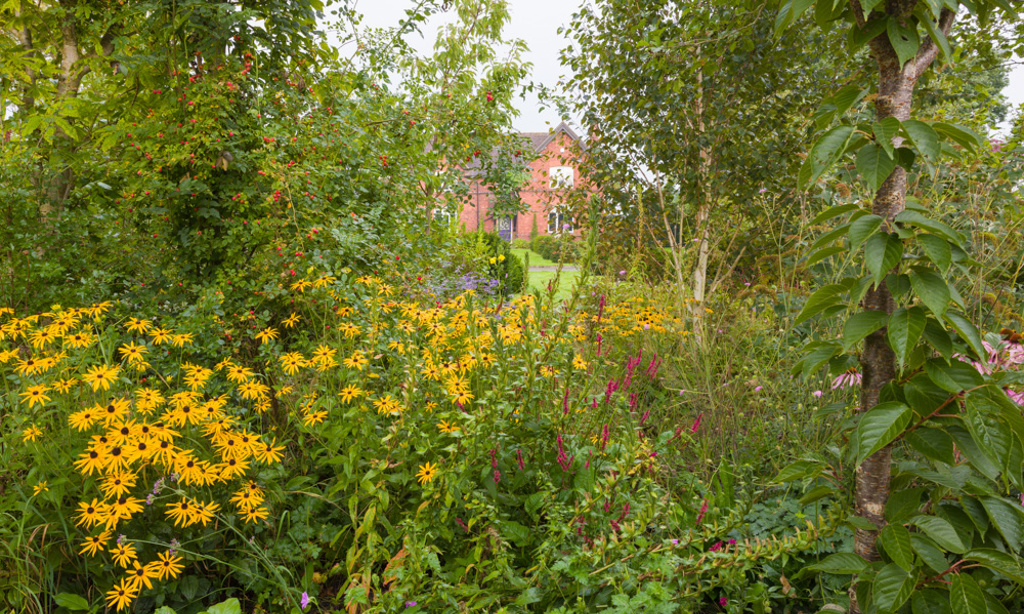 The Large Country Garden in Cheshire