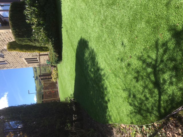 New Artificial Grass Lawn with Trimmed shrubs around it