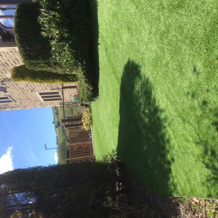 New Artificial Grass Lawn with Trimmed shrubs around it