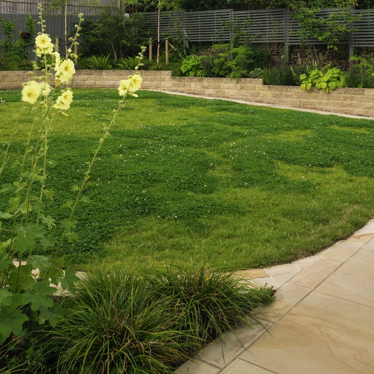 Family garden with large lawn and stepped raised beds.