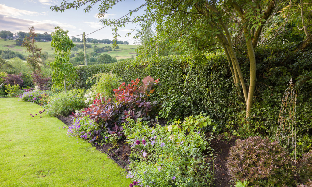 The Country Garden in the Hills