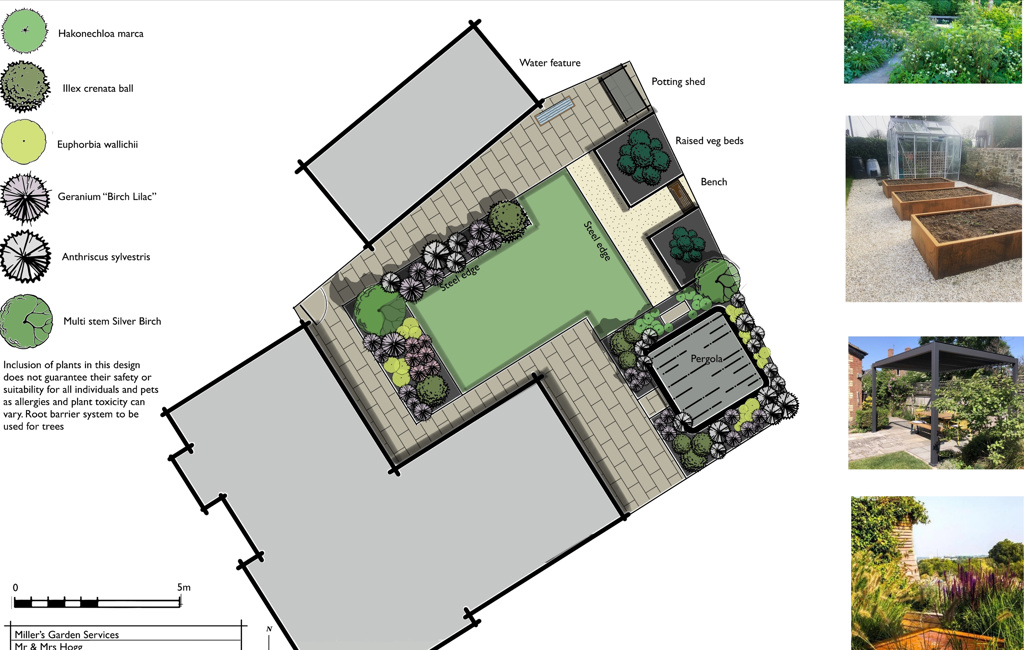 New build garden design