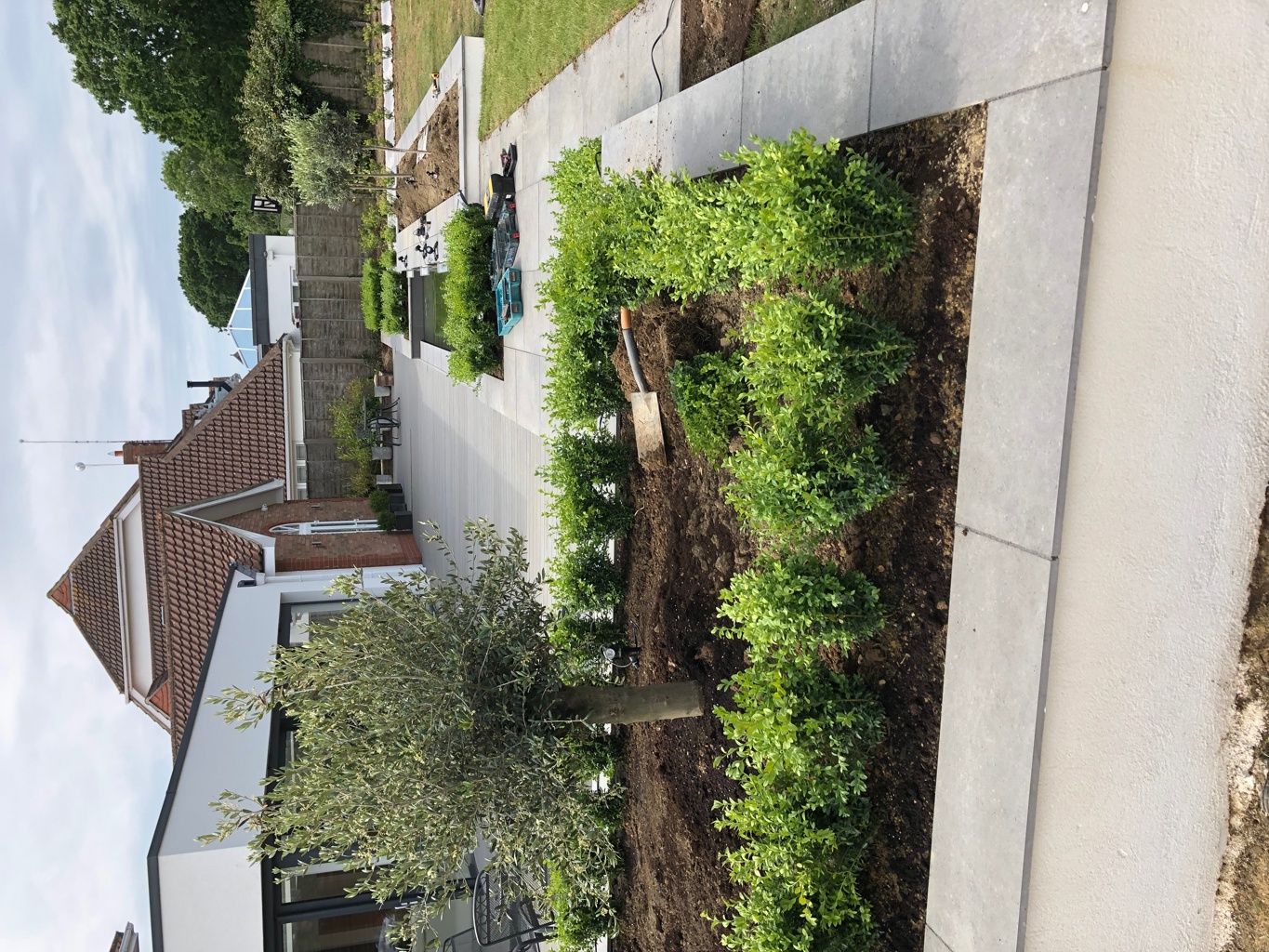 new planting