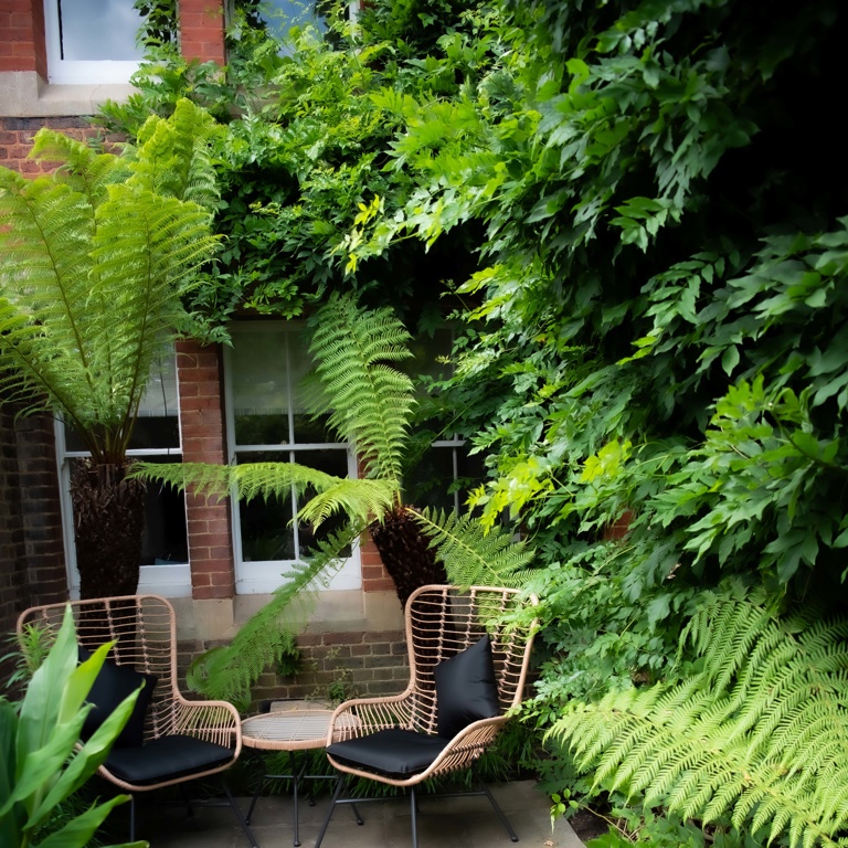 Cosy corner, small courtyard space