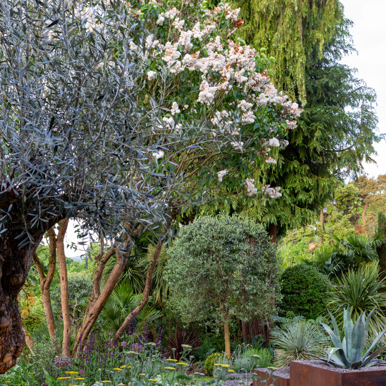 The Contemporary Courtyard Garden          