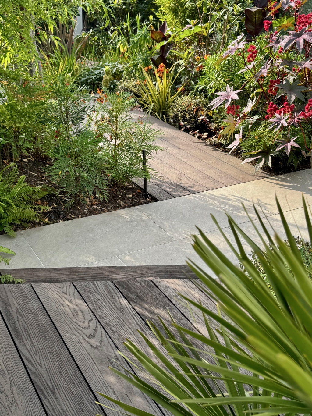 Exotic style planting