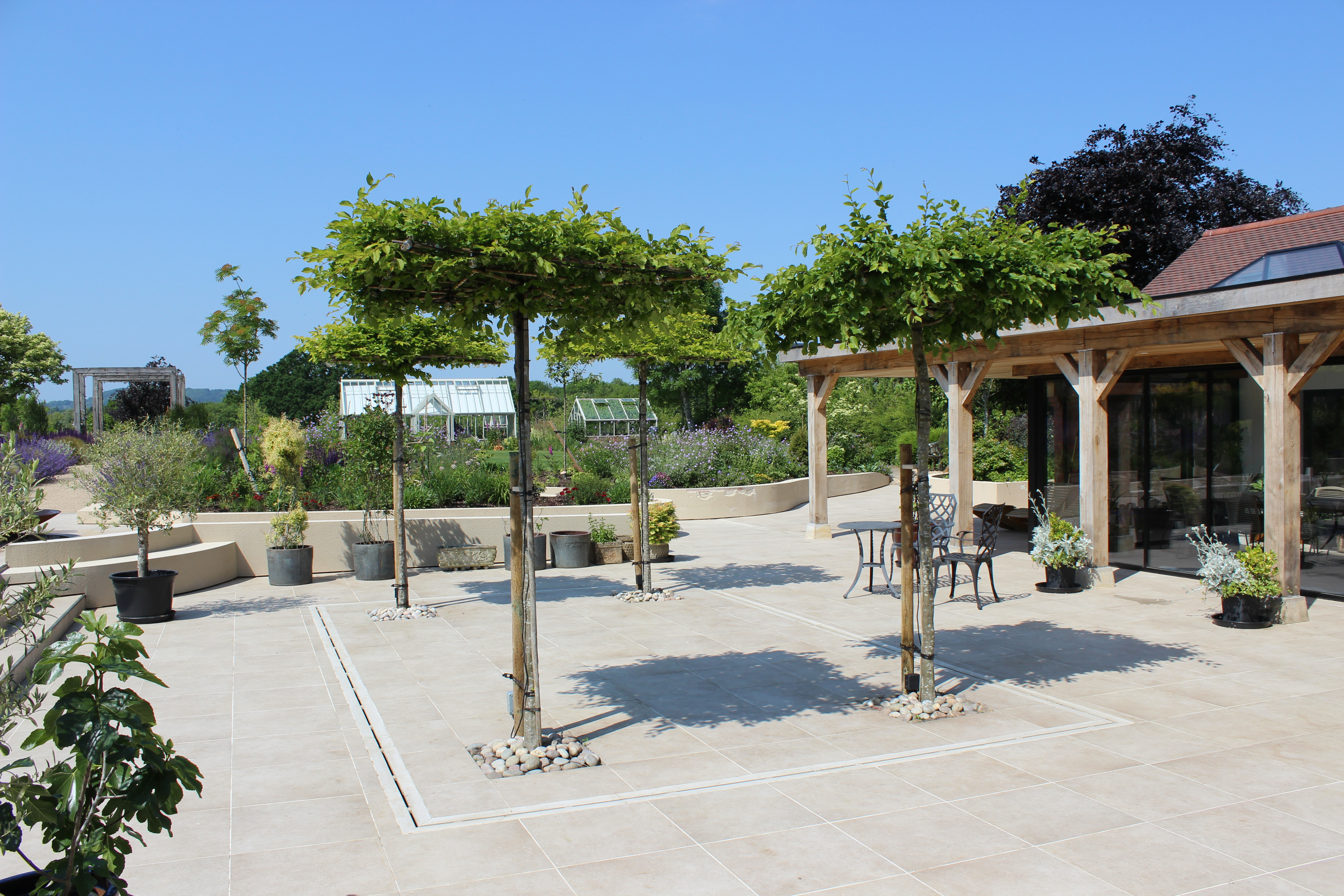Formal eating space with umbrella trees