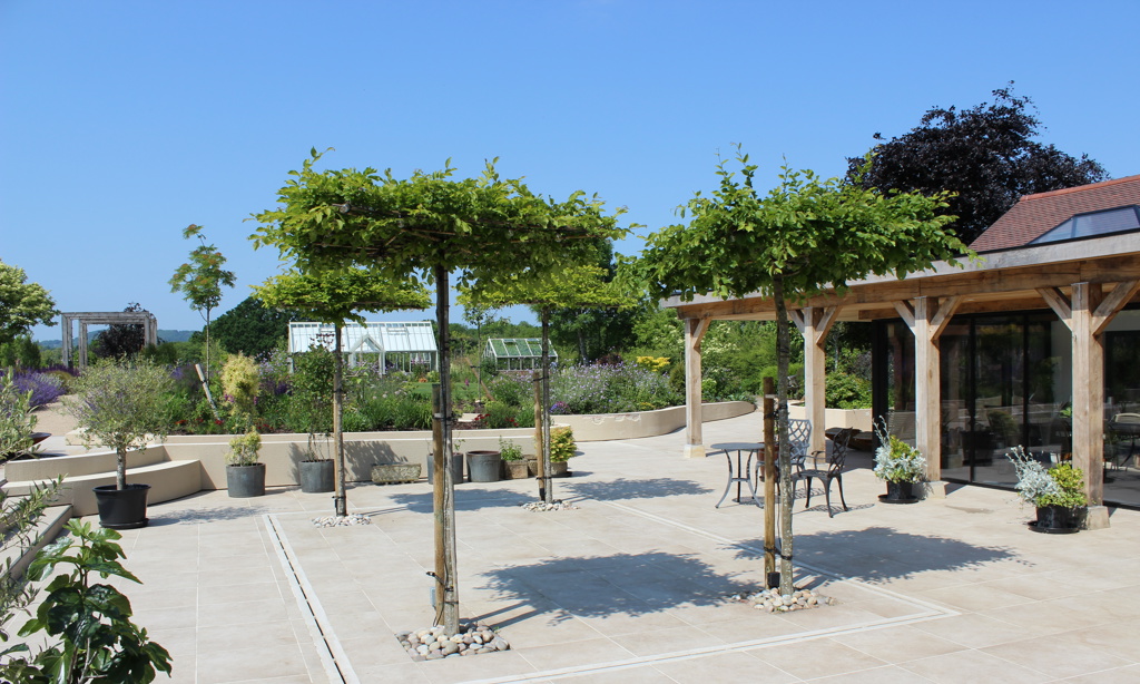 Formal eating space with umbrella trees