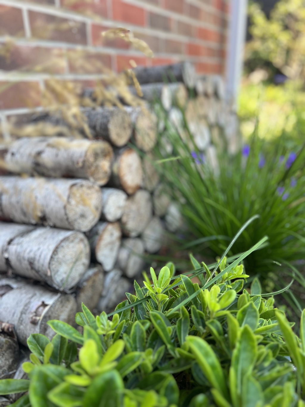 Bug hotel with locally sourced waste timber