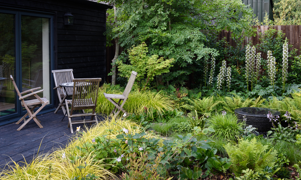 Water bowl and deck in woodland