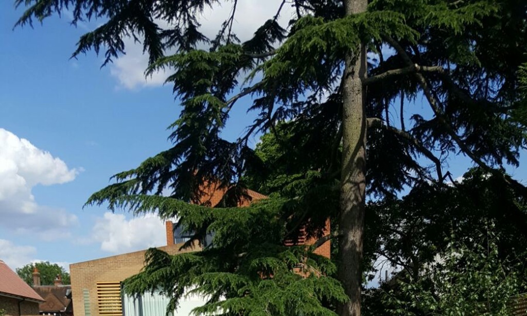 Gravel, everedge path