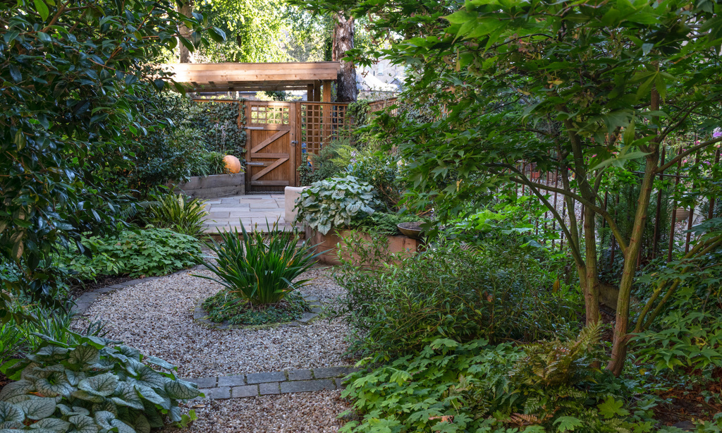 West End Glasgow Garden 1