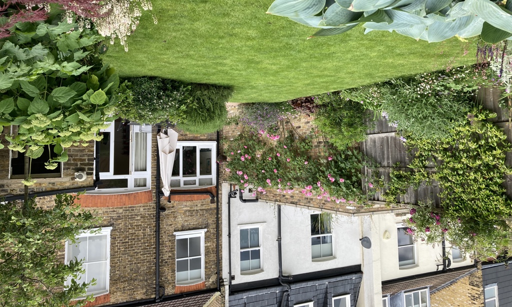 View across garden to house