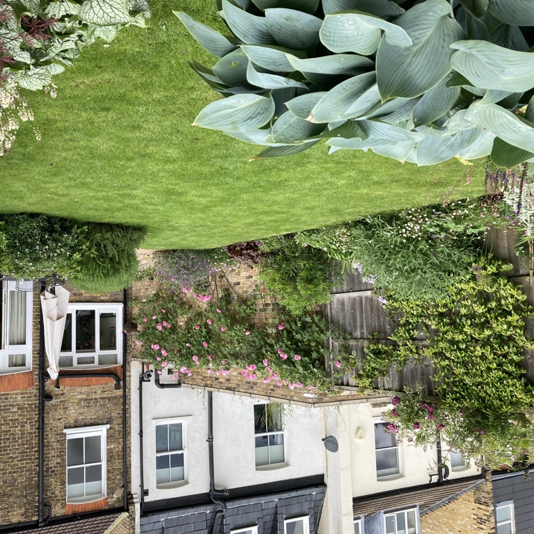 View across garden to house