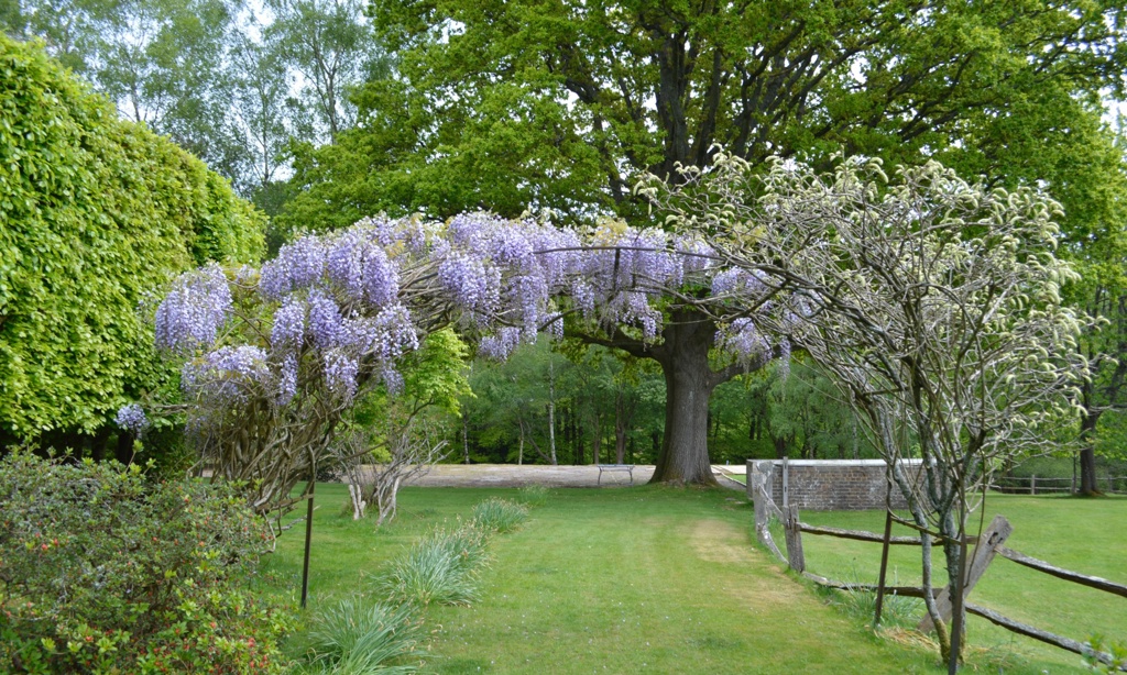 View of Existing Pergola Arch