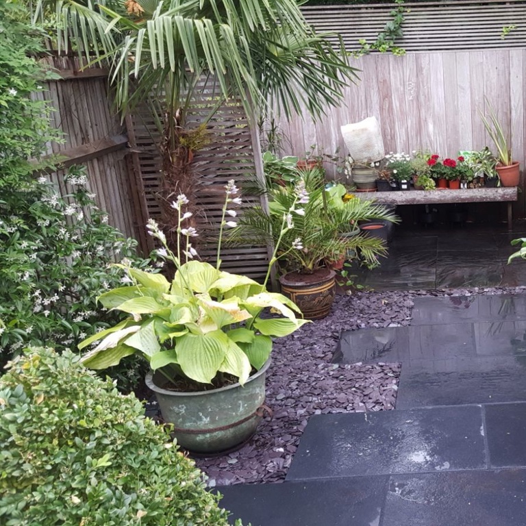 Small cottage style garden