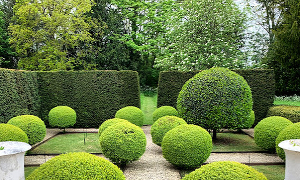 Topiary