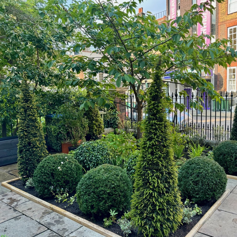 Contemporary formal Courtyard