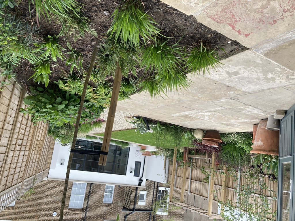 View from rear gate back towards house