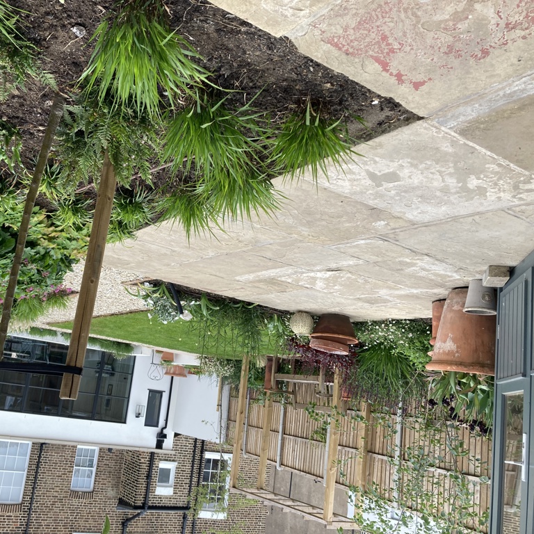 View from rear gate back towards house