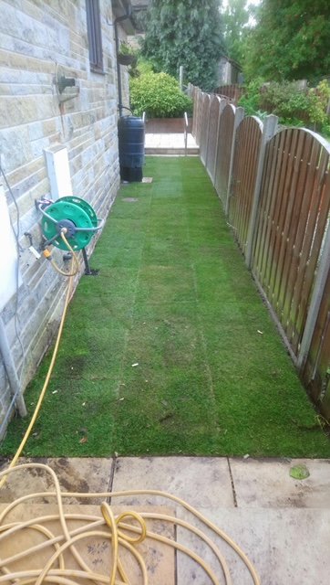 New Grass at side of house