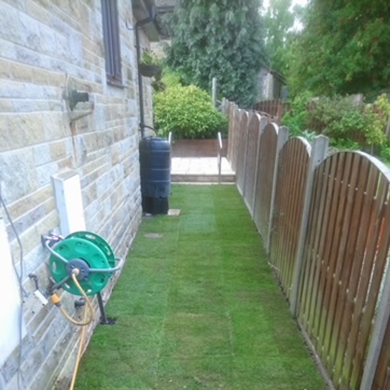New Grass at side of house