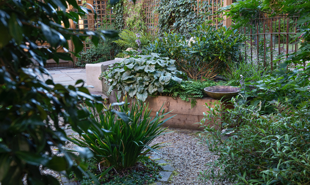 West End Glasgow Garden 3