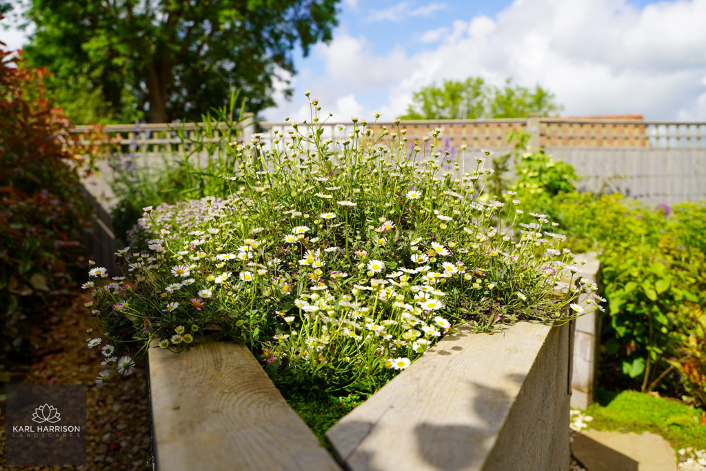 Garden Design in Chalfont St. Peter