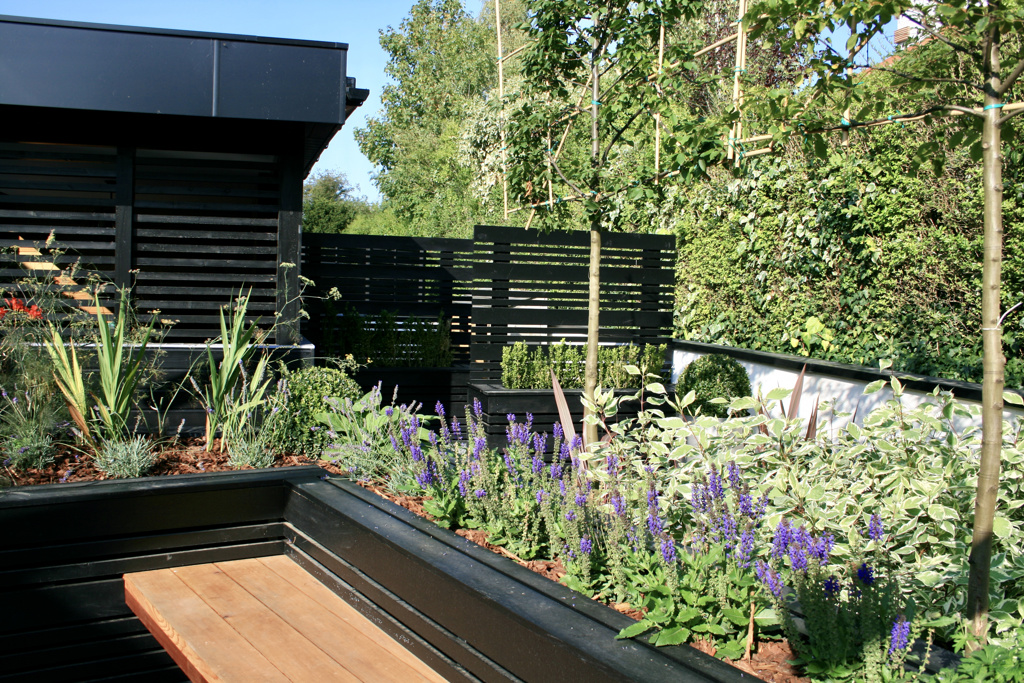 A contemporary courtyard garden with wheelchair accessibility